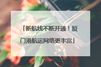 新航线不断开通！厦门港航运网络更丰富