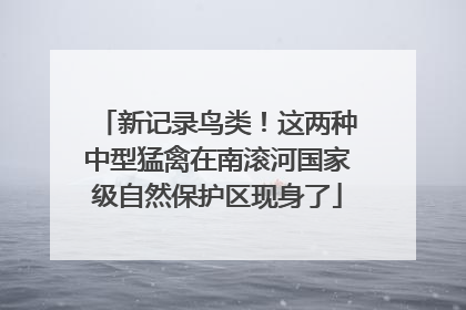 新记录鸟类！这两种中型猛禽在南滚河国家级自然保护区现身了