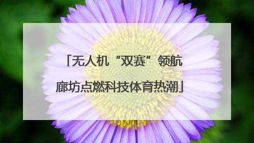 无人机“双赛”领航 廊坊点燃科技体育热潮