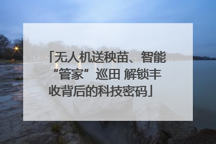 无人机送秧苗、智能“管家”巡田 解锁丰收背后的科技密码