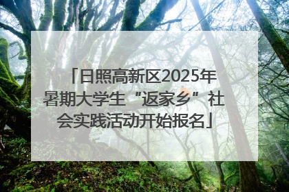 日照高新区2025年暑期大学生“返家乡”社会实践活动开始报名