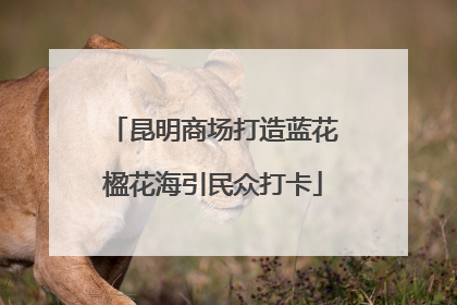 昆明商场打造蓝花楹花海引民众打卡