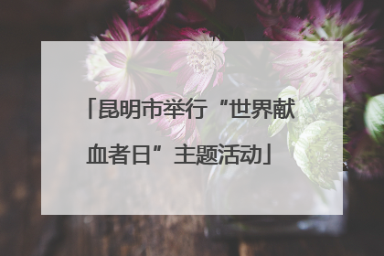 昆明市举行“世界献血者日”主题活动