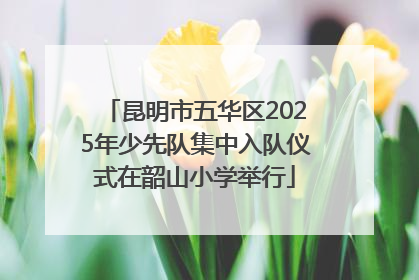 昆明市五华区2025年少先队集中入队仪式在韶山小学举行