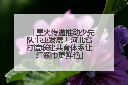 星火传递推动少先队事业发展！河北省打造联建共育体系让红领巾更鲜艳