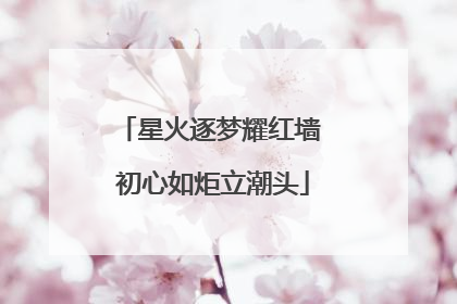 星火逐梦耀红墙 初心如炬立潮头