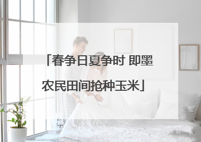 春争日夏争时 即墨农民田间抢种玉米