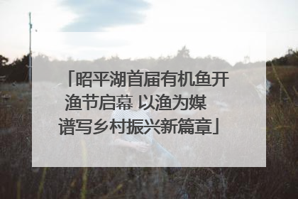 昭平湖首届有机鱼开渔节启幕 以渔为媒 谱写乡村振兴新篇章