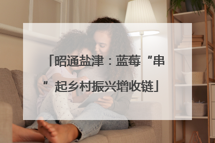 昭通盐津：蓝莓“串”起乡村振兴增收链
