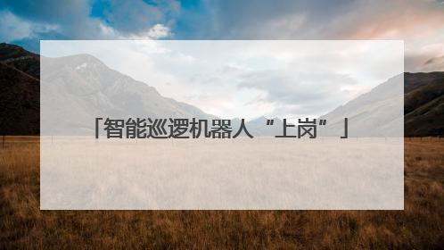 智能巡逻机器人“上岗”