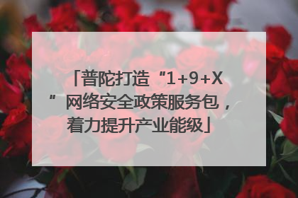 普陀打造“1+9+X”网络安全政策服务包，着力提升产业能级