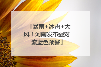 暴雨+冰雹+大风！河南发布强对流蓝色预警