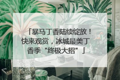 暴马丁香陆续绽放！快来观赏，冰城最美丁香季“终极大招”
