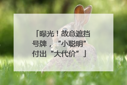 曝光！故意遮挡号牌，“小聪明”付出“大代价”