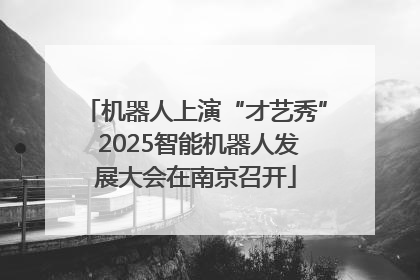 机器人上演“才艺秀” 2025智能机器人发展大会在南京召开