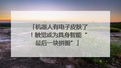 机器人有电子皮肤了！触觉或为具身智能“最后一块拼图”