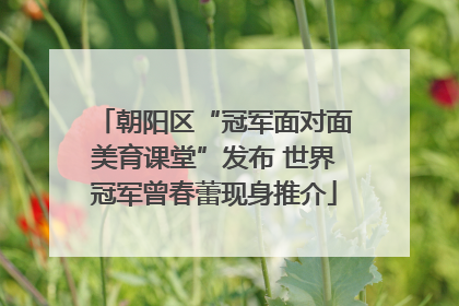 朝阳区“冠军面对面美育课堂”发布 世界冠军曾春蕾现身推介