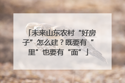 未来山东农村“好房子”怎么建？既要有“里”也要有“面”
