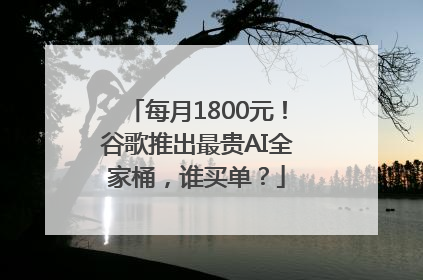 每月1800元！谷歌推出最贵AI全家桶，谁买单？