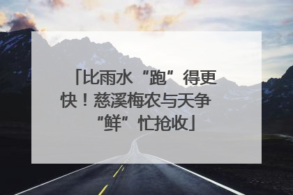 比雨水“跑”得更快！慈溪梅农与天争“鲜”忙抢收