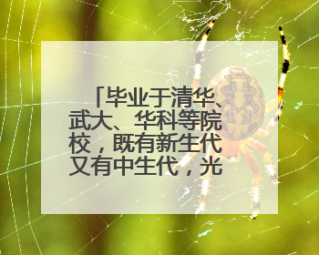 毕业于清华、武大、华科等院校，既有新生代又有中生代，光谷这支“理工男团”为何“出道”？
