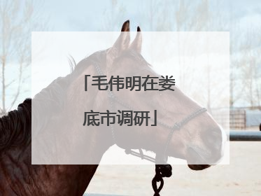 毛伟明在娄底市调研