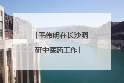 毛伟明在长沙调研中医药工作