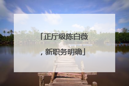 正厅级陈白薇，新职务明确