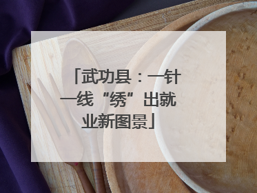 武功县：一针一线“绣”出就业新图景