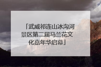 武威祁连山冰沟河景区第二届马兰花文化嘉年华启幕