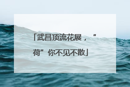 武昌顶流花展，“荷”你不见不散