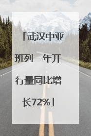 武汉中亚班列一年开行量同比增长72%