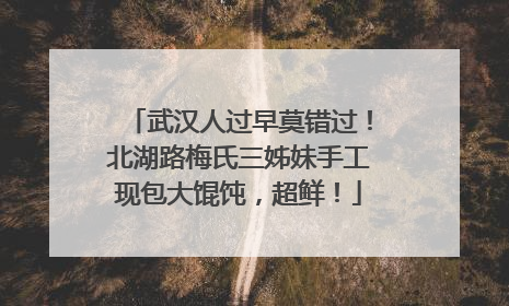 武汉人过早莫错过！北湖路梅氏三姊妹手工现包大馄饨，超鲜！