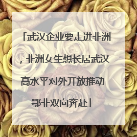 武汉企业要走进非洲，非洲女生想长居武汉 高水平对外开放推动鄂非双向奔赴