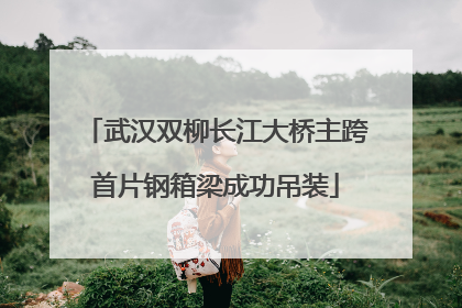 武汉双柳长江大桥主跨首片钢箱梁成功吊装