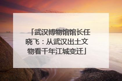 武汉博物馆馆长任晓飞：从武汉出土文物看千年江城变迁