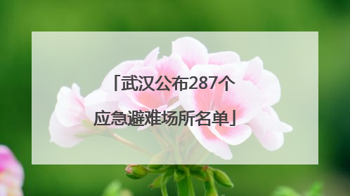武汉公布287个应急避难场所名单