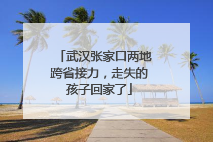 武汉张家口两地跨省接力，走失的孩子回家了