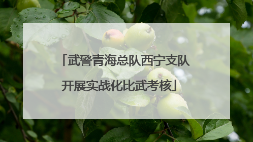 武警青海总队西宁支队开展实战化比武考核