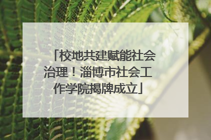 校地共建赋能社会治理！淄博市社会工作学院揭牌成立