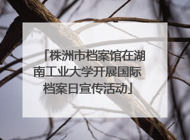株洲市档案馆在湖南工业大学开展国际档案日宣传活动