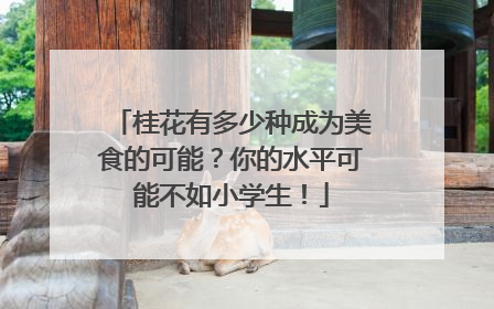 桂花有多少种成为美食的可能？你的水平可能不如小学生！