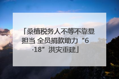 桑植税务人不等不靠显担当 全员捐款助力“6·18”洪灾重建