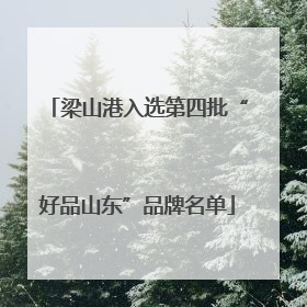梁山港入选第四批“好品山东”品牌名单