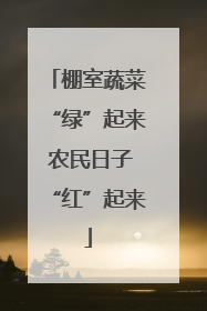 棚室蔬菜“绿”起来 农民日子“红”起来