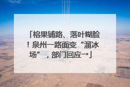 榕果铺路、落叶糊脸！泉州一路面变“溜冰场”，部门回应→