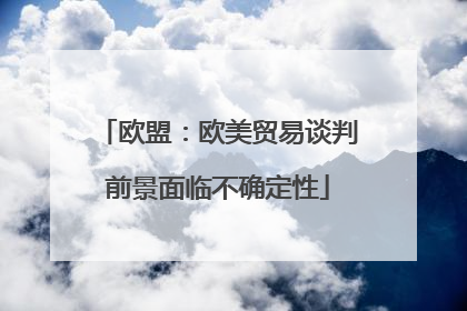 欧盟：欧美贸易谈判前景面临不确定性