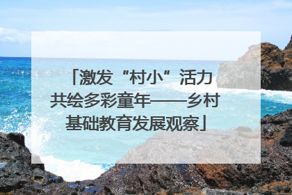 激发“村小”活力 共绘多彩童年——乡村基础教育发展观察