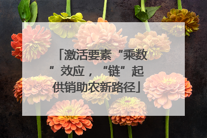 激活要素“乘数”效应，“链”起供销助农新路径
