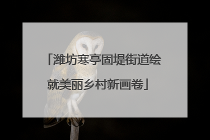 潍坊寒亭固堤街道绘就美丽乡村新画卷